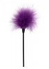 Pejcz-SEXY FEATHER TICKLER PURPLE